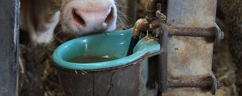 Tränkebecken Mod. 46